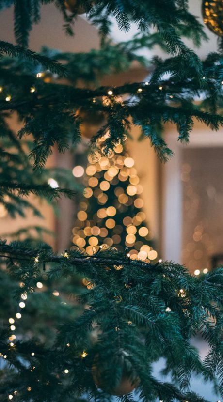 Sapins Lumineux Link