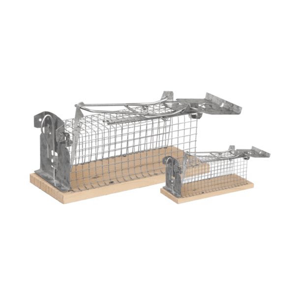 NASSE A SOURIS & RATS MONOCAPTURE - Bâtiself