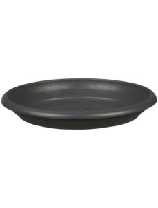 dessous de verre 331