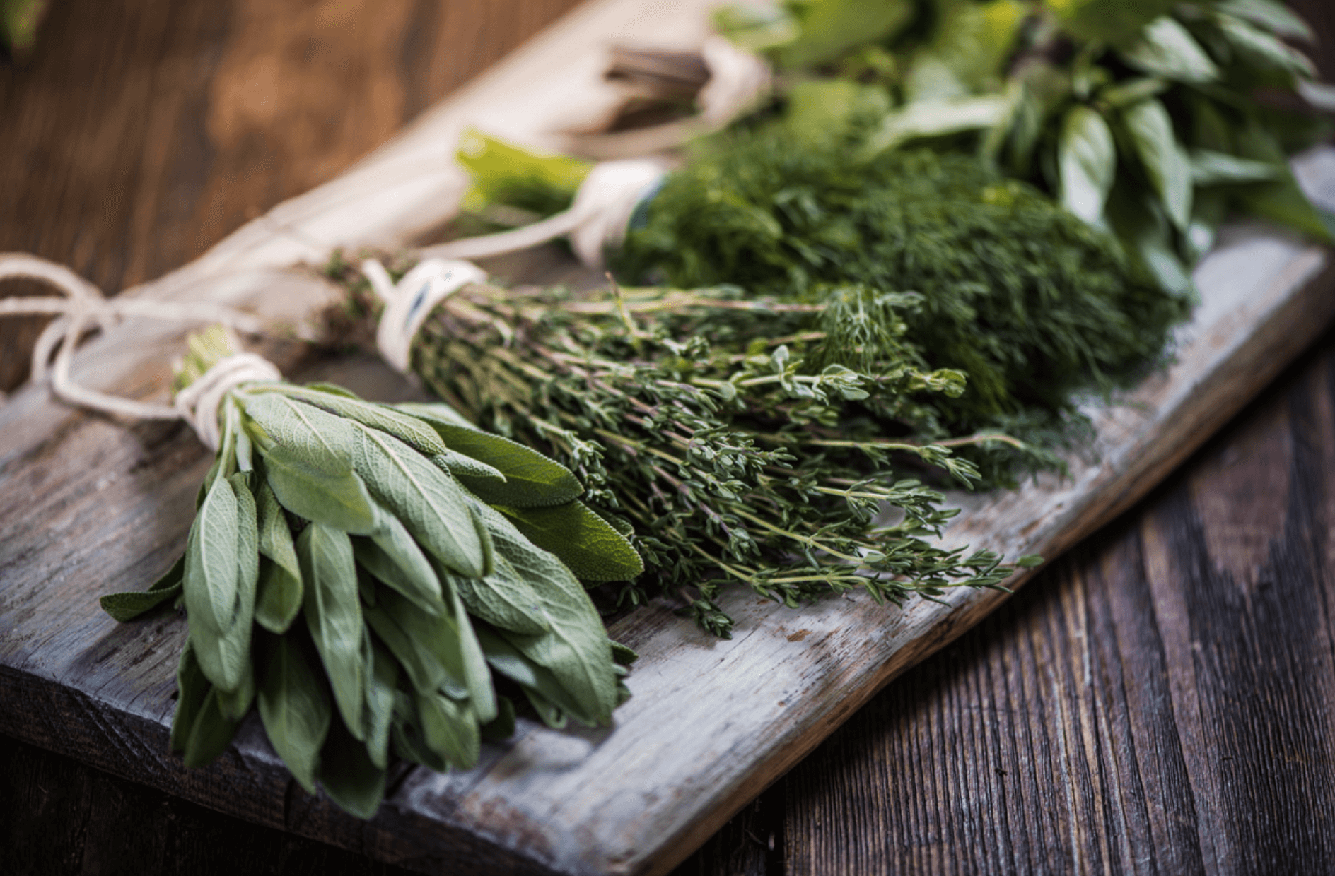 Herbes Aromatiques Italia Mix