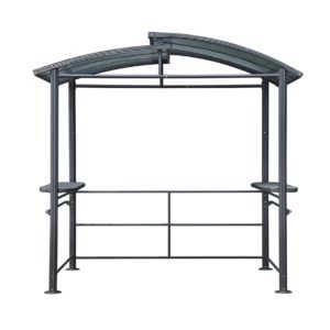 Pavillon Professionnel pour Barbecue