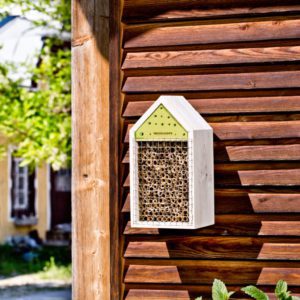 Hôtel à Insectes