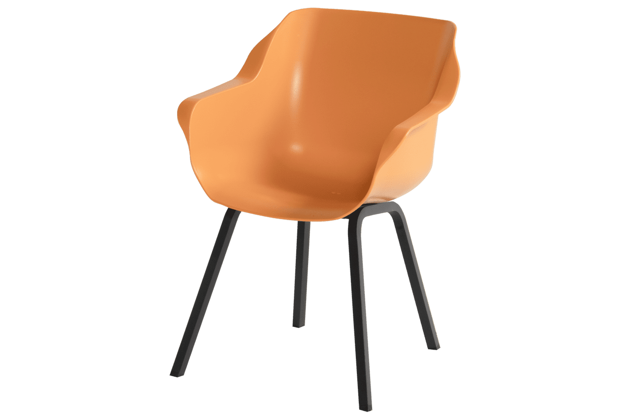 Chaise Fauteuil de Jardin Sophie