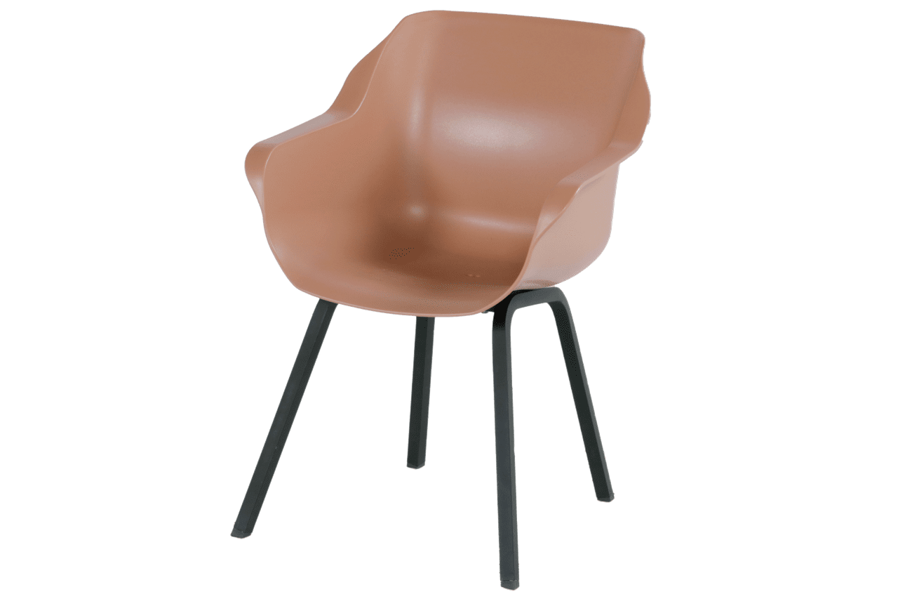 Chaise Fauteuil de Jardin Sophie