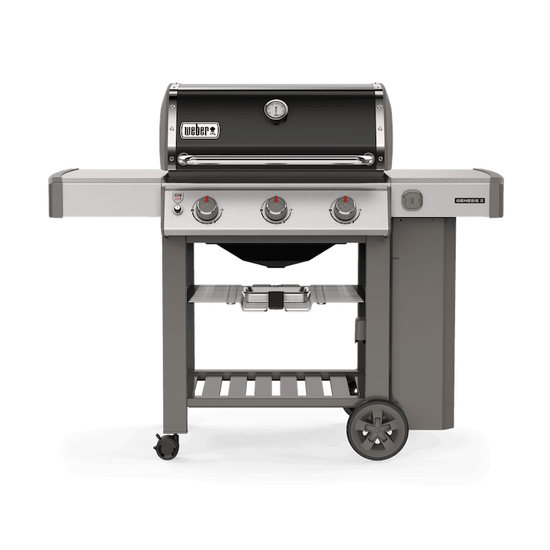 Barbecue à Gaz Genesis® II