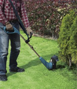 Taille-Herbe Électrique