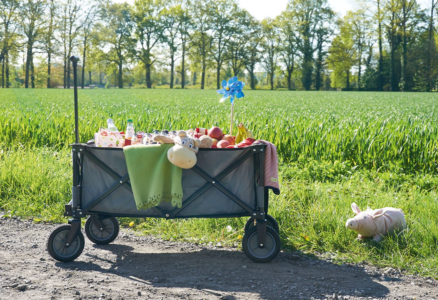 Chariot Pliable Porti